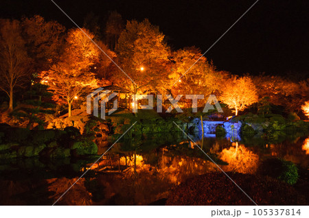 日本庭園でライトアップされた紅葉 日本庭園でライトアップされた紅葉 105337814