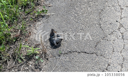 アートな空き缶 アートな空き缶 105338056