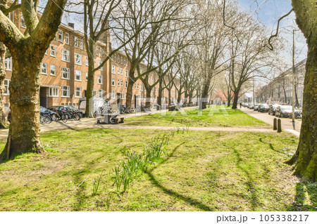 an empty street in the middle of a residential area, with trees and parked cars on both sides there is a bright blue sky an empty street in the middle of a residential area, with trees and parked cars on both sides there is a bright blue sky 105338217