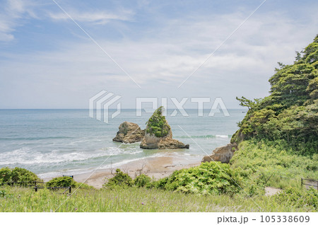 茨城 日立のグミ島 茨城 日立のグミ島 105338609