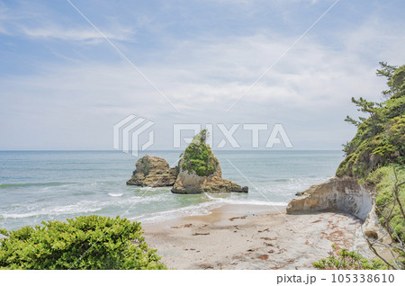 茨城　日立のグミ島 105338610