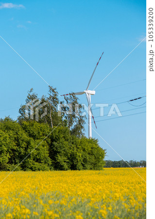Wind turbine on grassy yellow field against cloudy blue sky in rural area during sunset. Offshore windmill park with stormy clouds in farmland Poland Europe. Wind power plant generating electricity 105339200