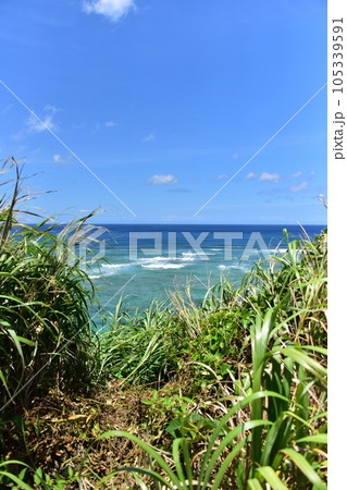 奄美大島の海の景観 奄美大島の海の景観 105339591