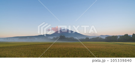 「岩手県」黄金色の稲と岩手山 105339840