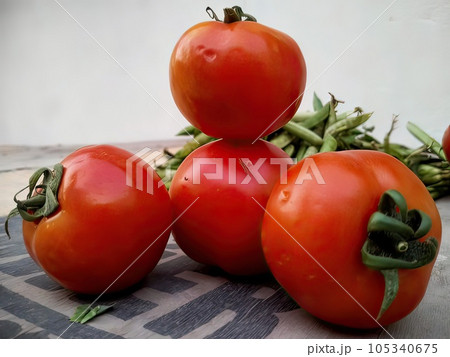 tomatoes on a branch tomatoes on a branch 105340675