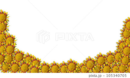 branches of fern isolated on white background 105340705