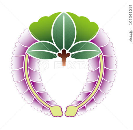 藤をモチーフにした家紋できれいに色づけされた下り藤 105341012