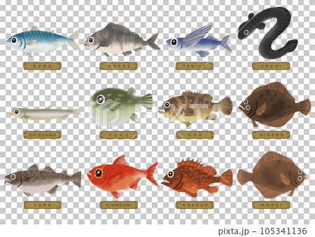 各種魚插圖2 105341136