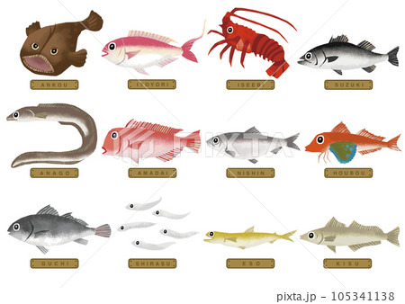いろいろな魚のイラスト 4 105341138