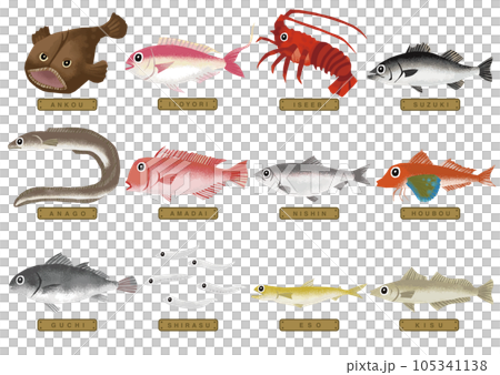 Various fish illustrations 4 Various fish illustrations 4 105341138