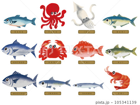 いろいろな魚のイラスト 1 主婦が使う魚類 105341139