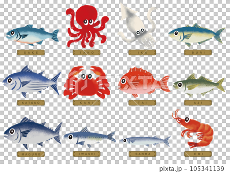 いろいろな魚のイラスト 1 主婦が使う魚類 105341139