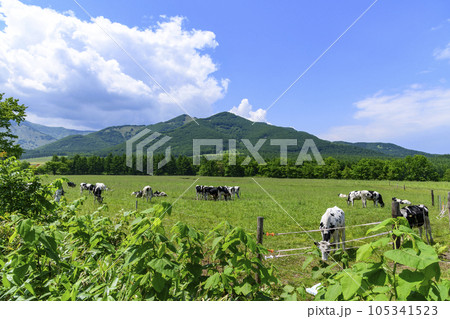 清水丸山展望台より十勝平野を望む 清水丸山展望台より十勝平野を望む 105341523
