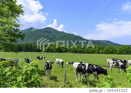 清水丸山展望台より十勝平野を望む 105341527