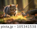 Intense Chase between Cat and Rat in Morning Forest 105341538