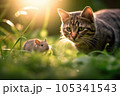 Intense Chase between Cat and Rat in Morning Forest 105341543