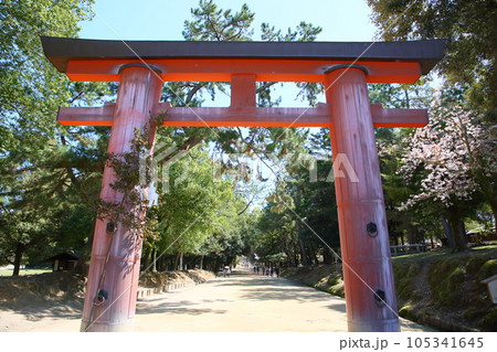 春日大社　一之鳥居 105341645