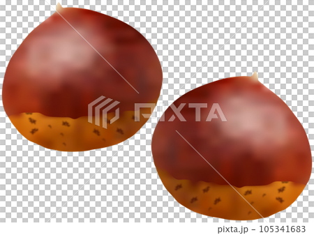 Two chestnut nuts Two chestnut nuts 105341683