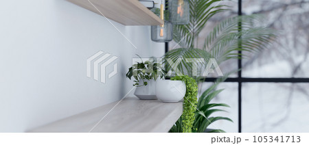 Copy space on a minimal wooden wall shelf against the white wall with potted planted. Copy space on a minimal wooden wall shelf against the white wall with potted planted. 105341713