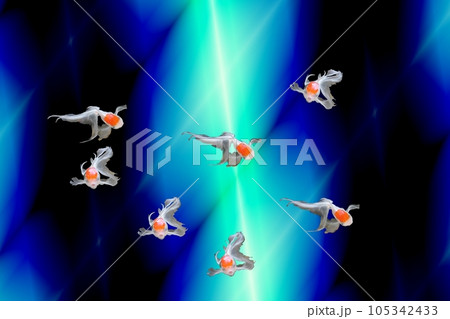 暑い夏 金魚!! 暑い夏 金魚!! 105342433