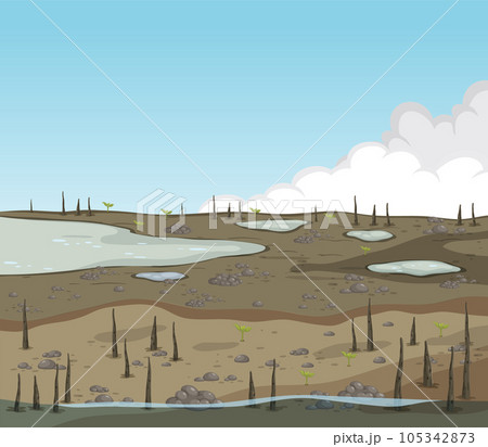 Mangrove forest nature scene Mangrove forest nature scene 105342873
