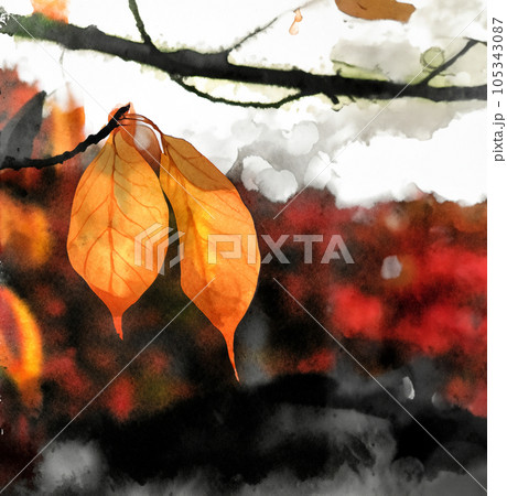 黄色く紅葉した葉っぱの水彩画（スペースあり）Generative AI 105343087