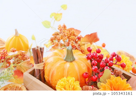 秋のフレーム 秋のフレーム 105343161