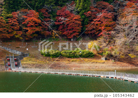 東京奥多摩　紅葉の奥多摩湖　留浦の浮橋 105343462