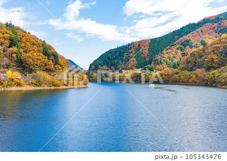 東京奥多摩 紅葉の奥多摩湖 東京奥多摩 紅葉の奥多摩湖 105343476