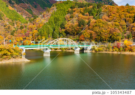 東京奥多摩　紅葉の奥多摩湖　深山橋 105343487