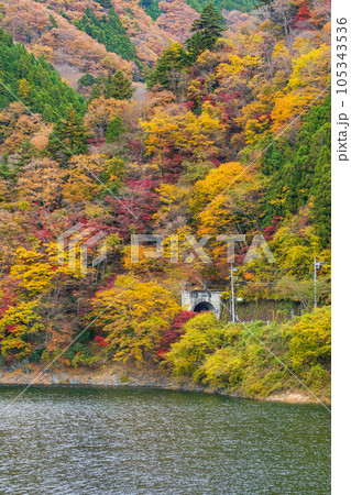 東京奥多摩　紅葉の奥多摩湖 105343536
