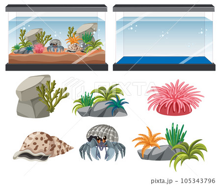 Aquarium tank with fishes and decorations 105343796