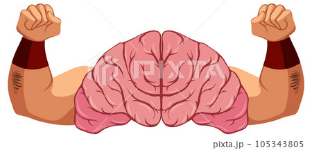 Brain with Strong Arms Vector 105343805