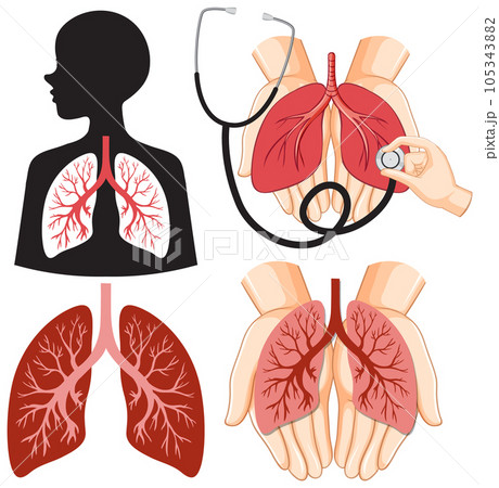 Set of Human Lung Icons for Medical and Health Designs Set of Human Lung Icons for Medical and Health Designs 105343882