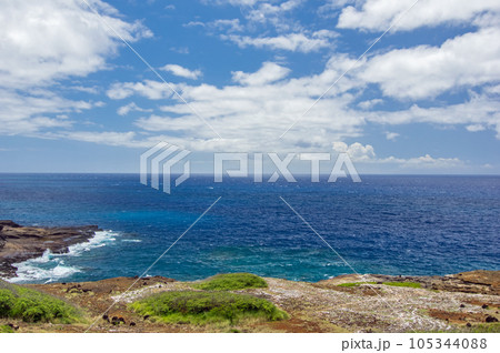 【HAWAII絶景ドライブ】オアフ島・東海岸 【HAWAII絶景ドライブ】オアフ島・東海岸 105344088