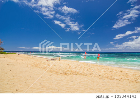 【HAWAII絶景ドライブ】オアフ島・東海岸・サンディピーチ 【HAWAII絶景ドライブ】オアフ島・東海岸・サンディピーチ 105344143