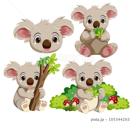 Lists.lhfurniture.net  Koala, Cute koala bear, Animals beautiful