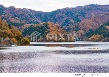 東京奥多摩 紅葉の奥多摩湖 東京奥多摩 紅葉の奥多摩湖 105345007