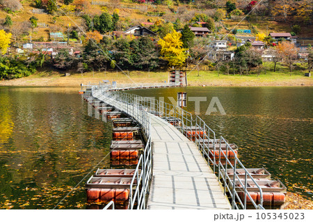 東京奥多摩　紅葉の奥多摩湖　留浦の浮橋 105345023