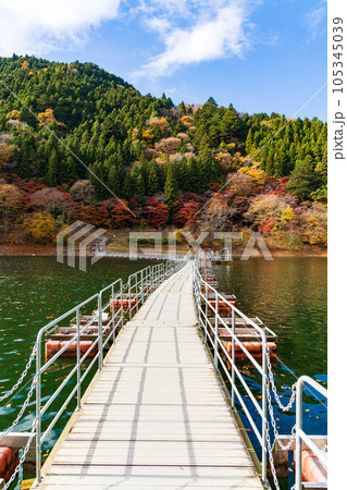 東京奥多摩 紅葉の奥多摩湖 留浦の浮橋 東京奥多摩 紅葉の奥多摩湖 留浦の浮橋 105345039