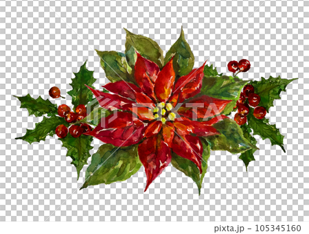 一品紅和冬青裝飾 一品紅和冬青裝飾 105345160