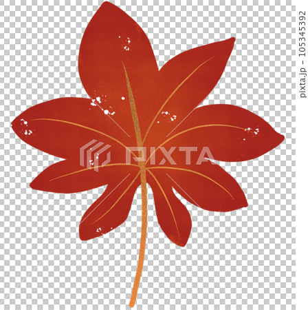 Leaves and flowers Leaves and flowers 105345392