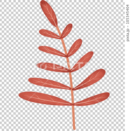 Leaves and flowers Leaves and flowers 105345404