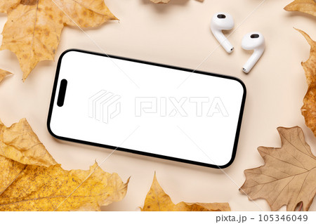 Smartphone with blank scree 105346049