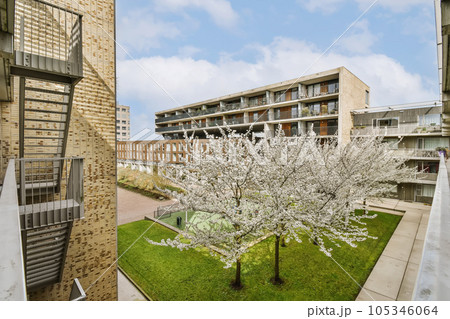 a tree in front of an apartment building with stairs leading up to the second floor and balknotn 105346064