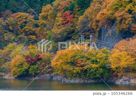 東京奥多摩　紅葉の奥多摩湖 105346266