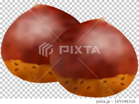 "Chestnut" with two overlapping chestnuts "Chestnut" with two overlapping chestnuts 105346316