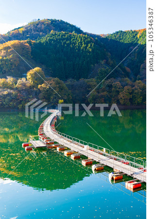 東京奥多摩 紅葉の奥多摩湖 麦山の浮橋 東京奥多摩 紅葉の奥多摩湖 麦山の浮橋 105346387