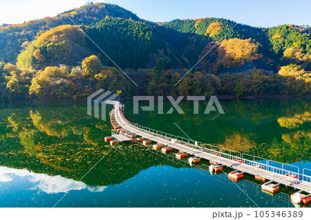 東京奥多摩　紅葉の奥多摩湖　麦山の浮橋 105346389