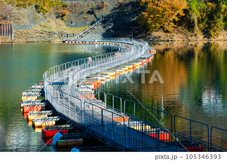 東京奥多摩 紅葉の奥多摩湖 麦山の浮橋 東京奥多摩 紅葉の奥多摩湖 麦山の浮橋 105346393